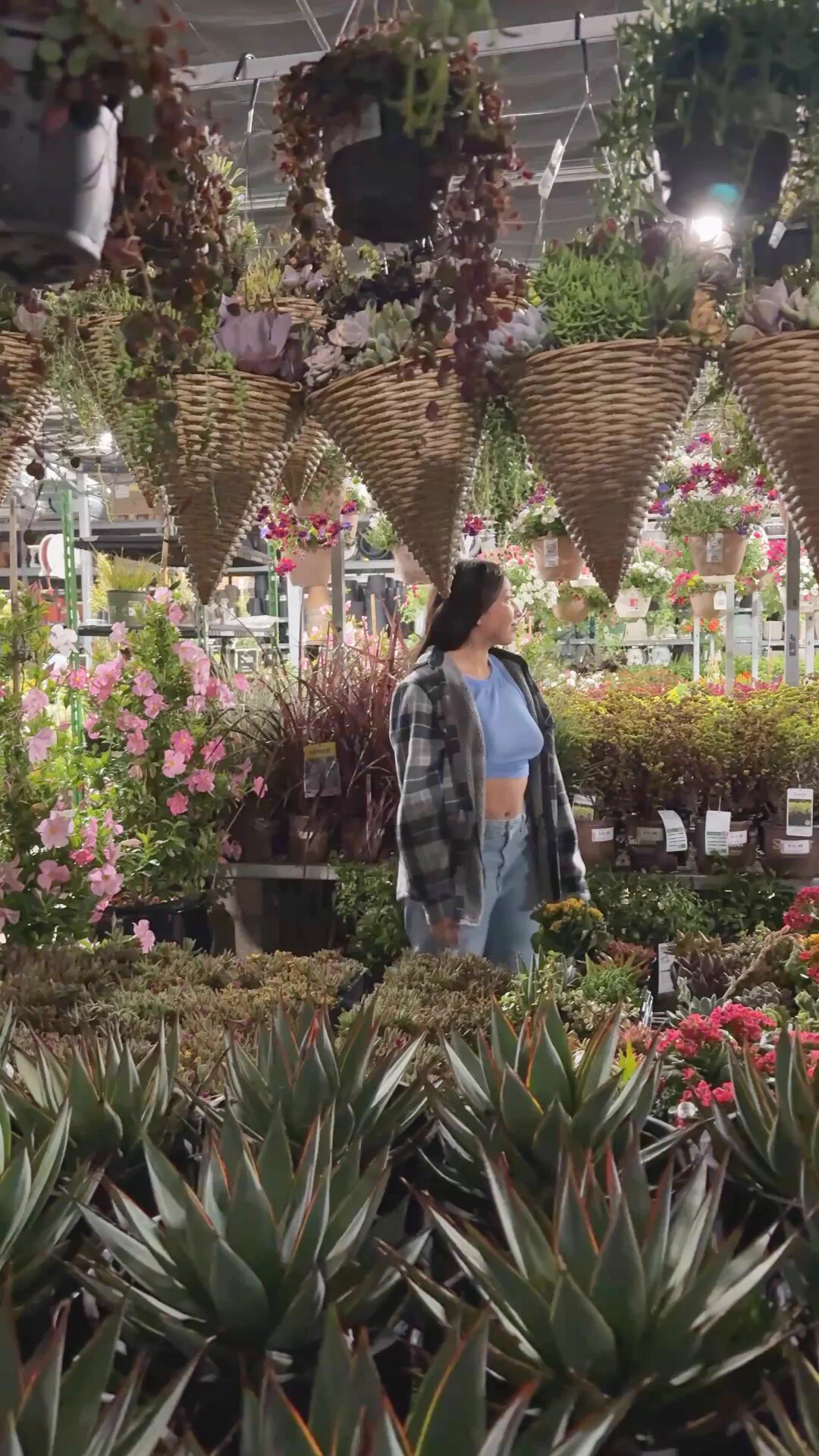 love shopping for plants at home depot 🙇🏻‍♀️ https://t.co/BAuKgzb9eP