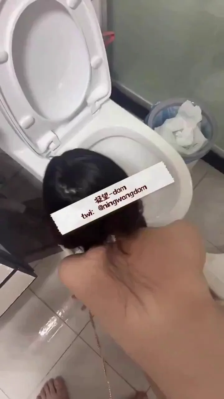新来的艺术生功能犬伺候如厕的那种边尿母狗边舔着侍奉再也不用担心 马桶的清洁问题了 😂完整版上传到电报群了，转发获取 https://t.co/NIPTEdCgAc
