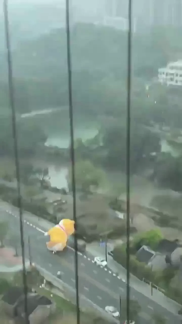 车主∶我车被狗压了。😳交警∶先生说话请不要带情绪。😒 https://t.co/Kg0OiJ4IEE