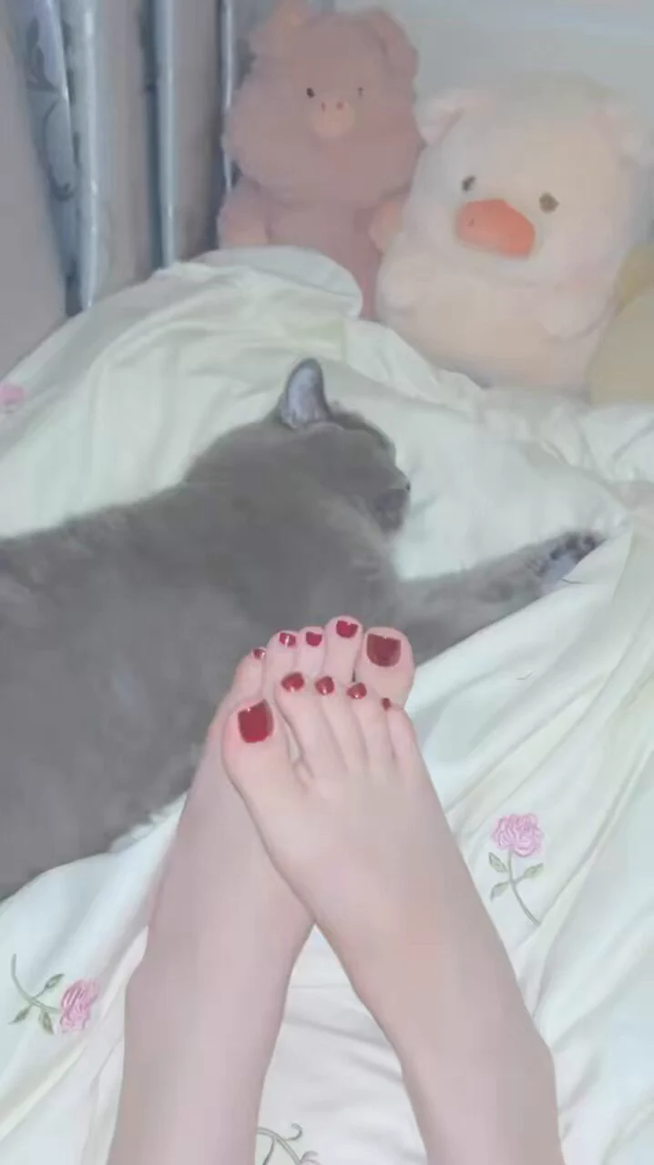 猫见了都美倒在脚下#美甲 #裸足 https://t.co/dIcBre3LLm