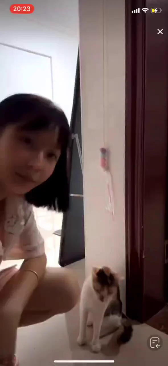 点击加入抖音录屏交流群👉 https://t.co/sWbxnSRawD https://t.co/SeV8GuOggL