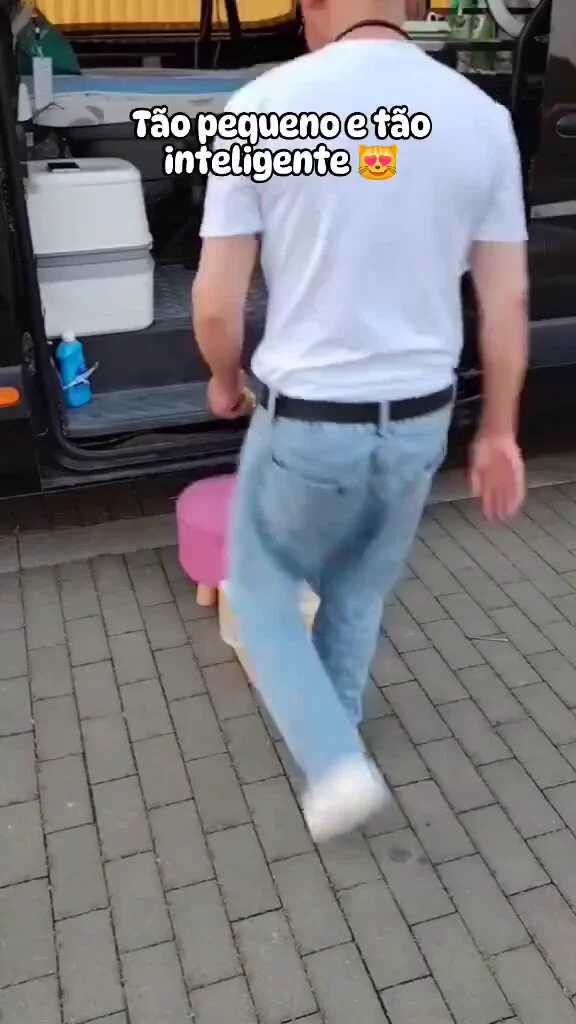 https://t.co/oVV6uzGLQ9