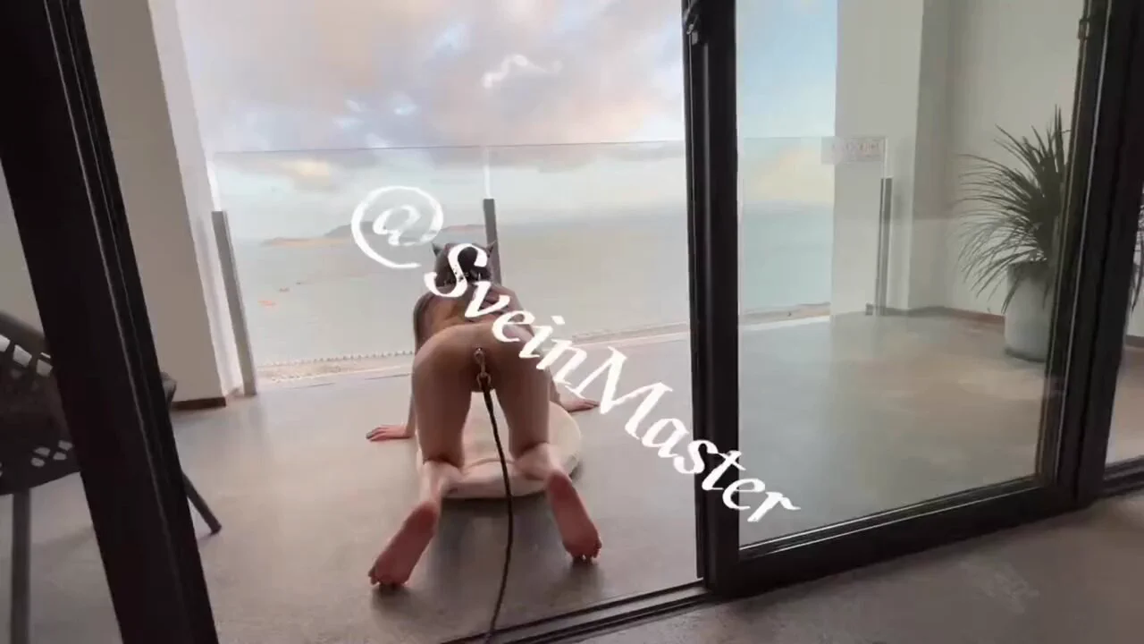 入住送条狗#sm #母狗 #人形犬 #dom #sub #肉便器 #圈养 #美女 #bdsm #精壶 #宠物 #项圈 #犬调 #胁迫 #奴隶 #性奴 #母畜 #bdsm #尿壶 #厕奴（因平台不能发完整版 完整版看置顶或评论区） https://t.co/taijcR71kZ