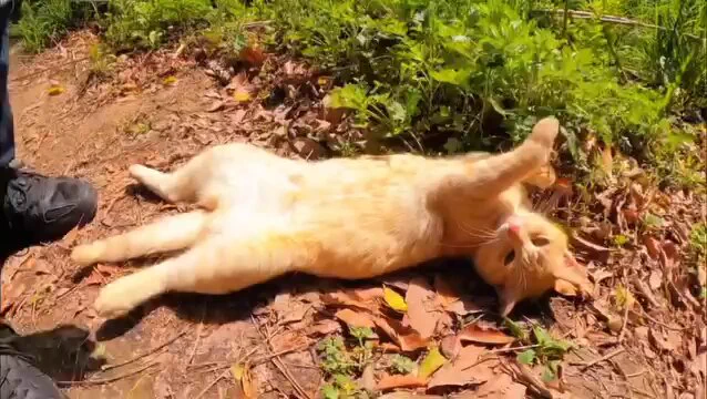 0% survival instinct https://t.co/CRuFnbztNK