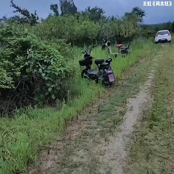 小伙整治大娘零元购，都省的自己摘了。走好啊~吃完再来🤣 https://t.co/Nm4WxnENqI