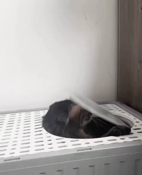 Bro is frustrated https://t.co/tZHDfa08RV