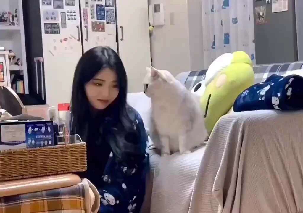 突然始まった謎のコツンゲーム見て
 https://t.co/XTfYy4TKTy