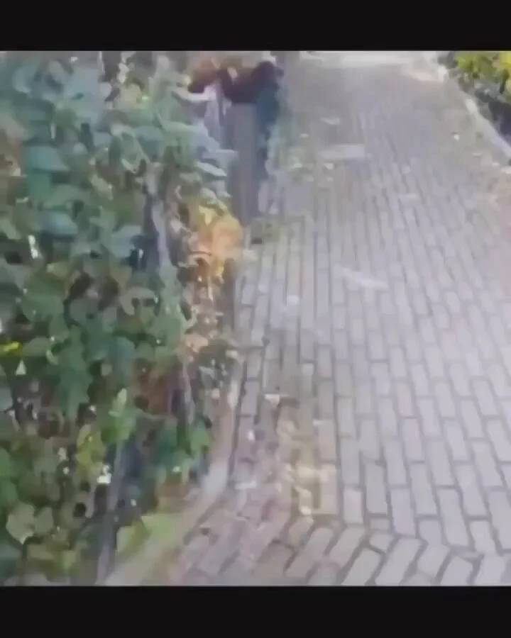 Oiiiiiii https://t.co/dAgwhKjOGI