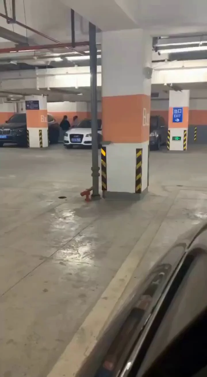 客户在我这提的车，让我陪他兜个风～路上有一点暧昧，到了停车场就让我给他口一下…还有其他人在旁边准备开车呢，好怕被发现… https://t.co/GAIOSWch9R