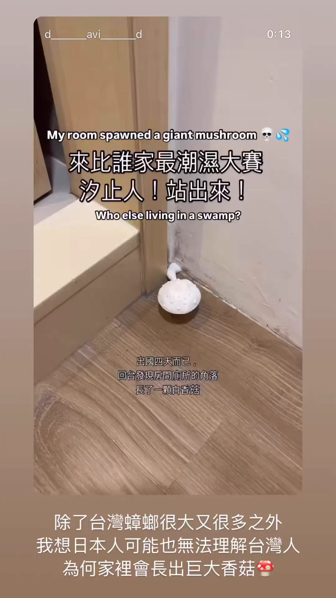 台湾ではゴキブリが大きくて多いだけじゃなくて、日本人には、どうして家の中に巨大なキノコ🍄が生えてくるのかも理解できないかもしれないね🤣🤣 https://t.co/LSgTvAZkem