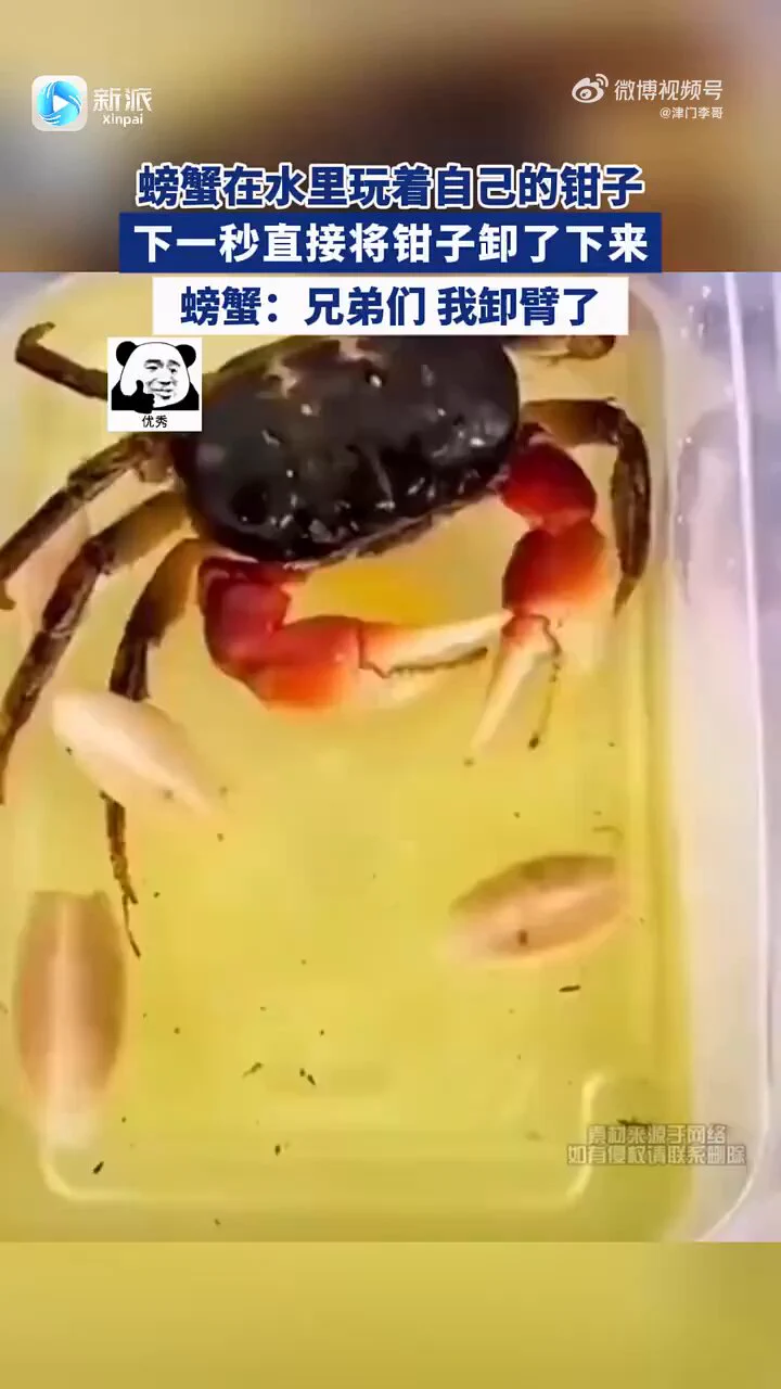 え？これを説明できる方教えてください https://t.co/NnawyVoo8X