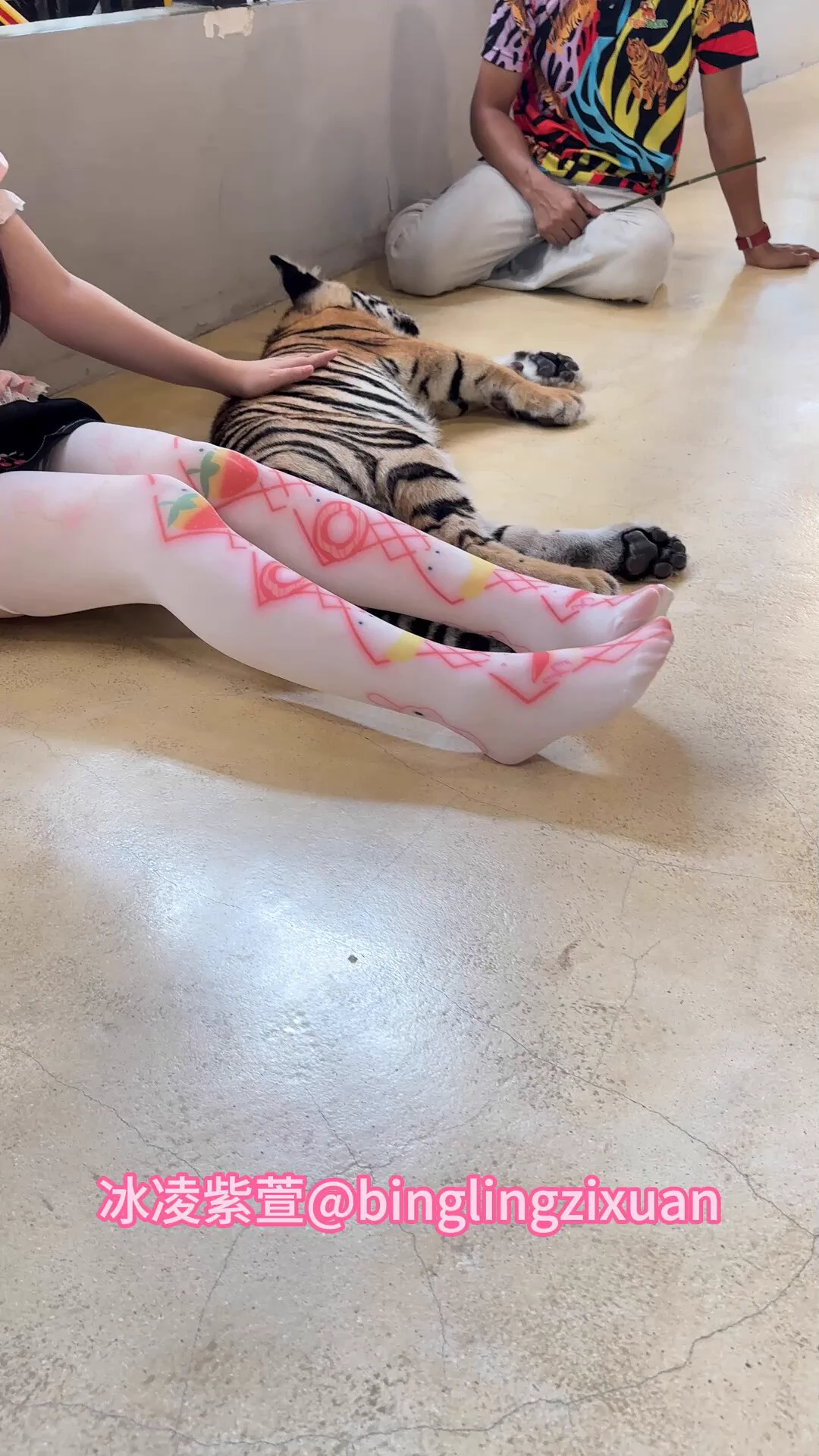 儿童节快乐!今天约会去tiger park摸老虎屁股和尾巴🤭可是150cm的老师竟然只能和little tiger和baby tiger玩😂big&amp;giant tiger竟然不可以进去┭┮﹏┭┮明明姐姐是成人内容创作者可是走到哪都被当做未成年应该怎么办?难道只能玩big man?速度过来PK试试🤭 https://t.co/MXSUiLXRfo