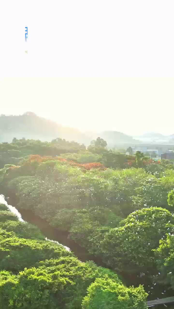 坐标江门台州市，这里真是鸟儿的天堂呀～ https://t.co/O5yR3ZZFy5