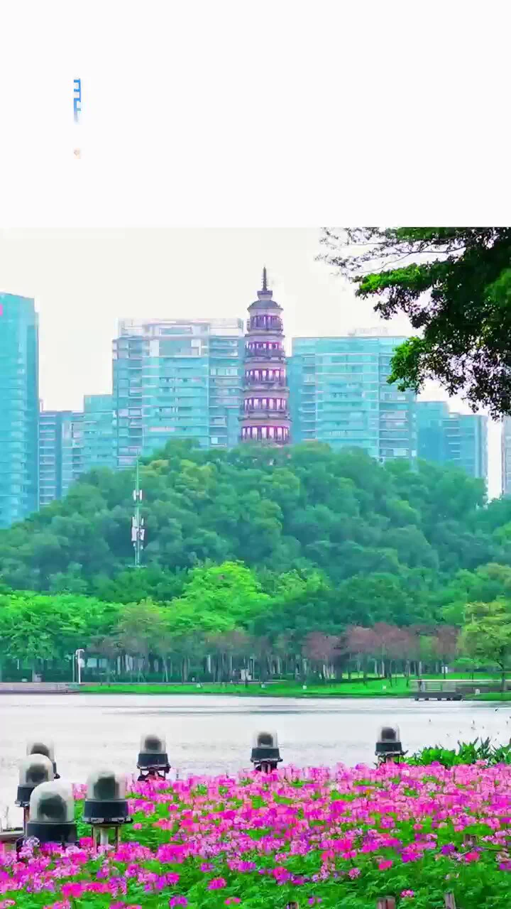 花向阳而开，人向暖而行，平凡日子自有光～ https://t.co/l0cPqOcqCH