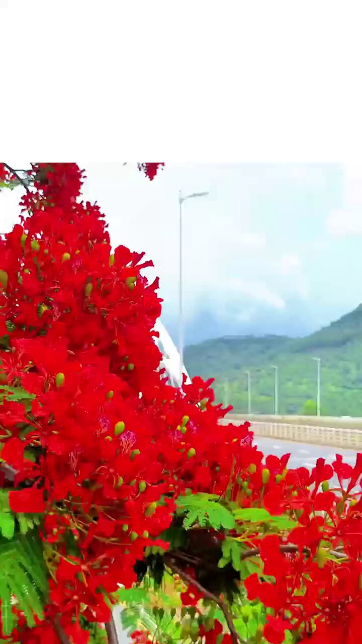 又是一年高考时，愿你心之所向，皆如所愿～ https://t.co/eQJg4NwYor
