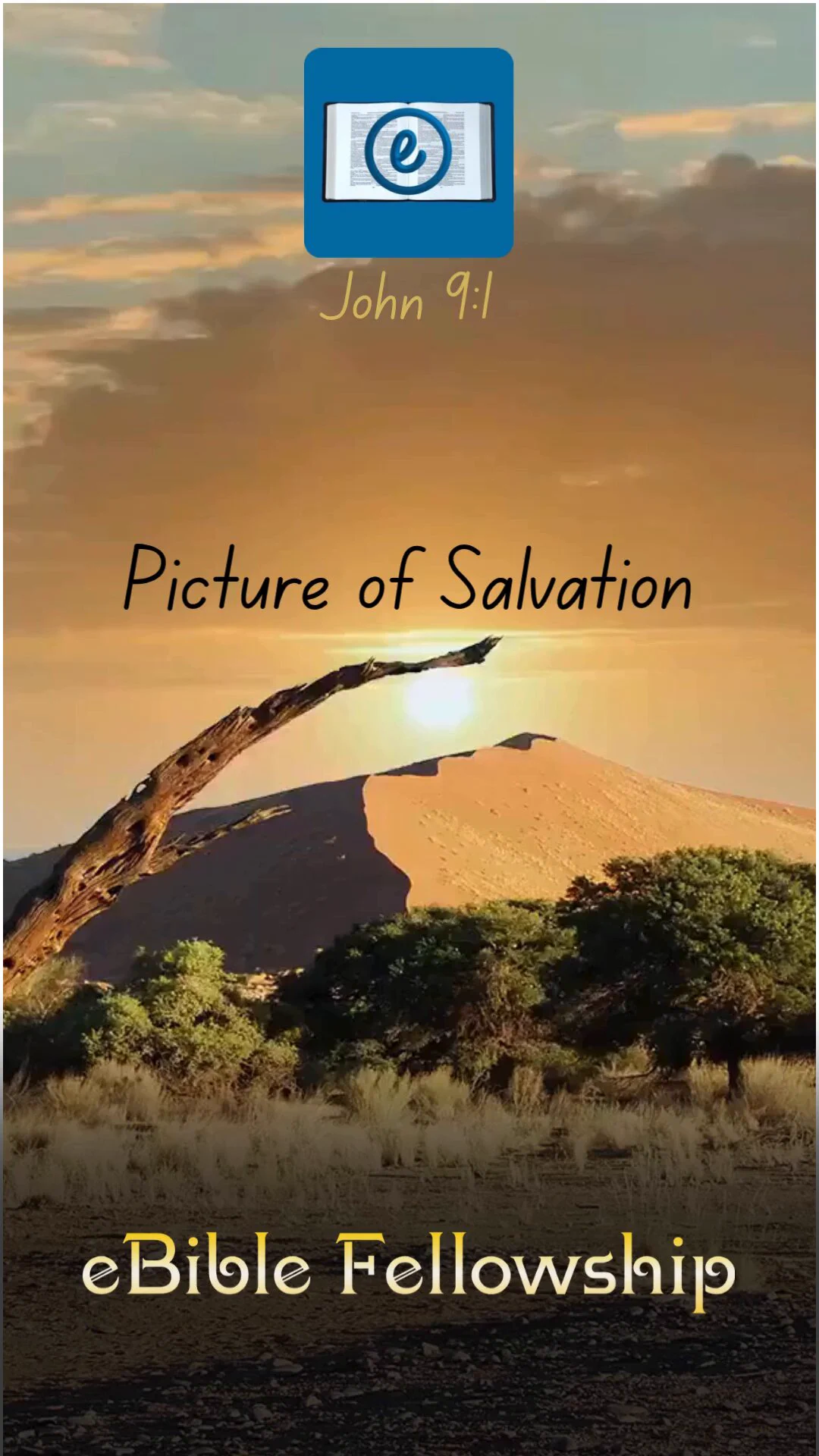 Picture of SalvationBy Chris McCann https://t.co/rU1OPQRJpsJohn 9:1 And as Jesus passed by, he saw a man which was blind from his birth. And his disciples asked him, saying, Master, who did sin, this man, or his parents, that he was born blind?Jesus answered, Neither hath this man sinned, nor his parents: but that the works of God should be made manifest in him.Jesus heals this man and gives him sight. Giving sight to the blind is a picture of salvation. Therefore salvation is what is in view by the reference to, "the works of God should be made manifest in him." The works of God in this man's case would be to receive his physical eyesight-pointing to what happens when God does the work of saving a sinner.