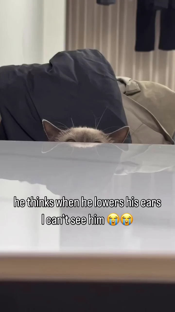https://t.co/ACbWKm6B5n
