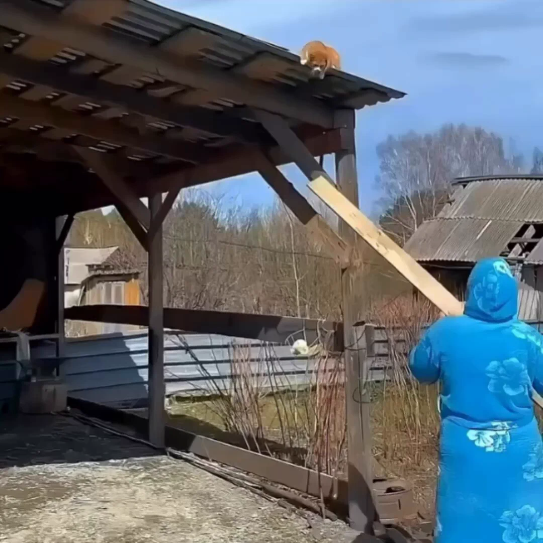 😊 https://t.co/hczumISrnU