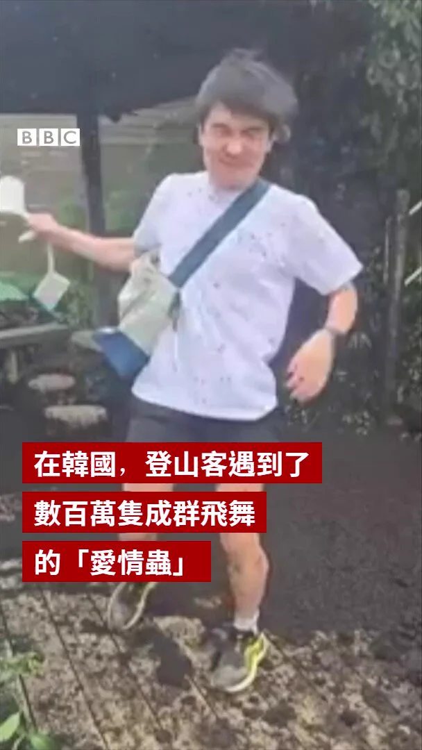 在韩国桂阳山，登山客在山顶遇到了一大群“爱情虫”，这些昆虫不仅停在他们身上，还覆盖了地板，形成一层“厚厚的地毯”。根据当地媒体报导，“爱情虫”因其成双飞行的习性而得名，近几年来在韩国的部分地区大量出现。 https://t.co/sQWNvaTvxY