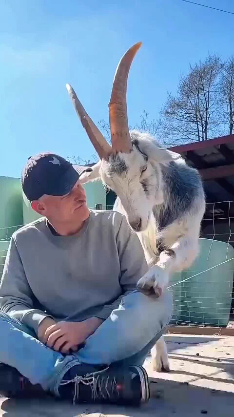 https://t.co/CgqrnC9IBa