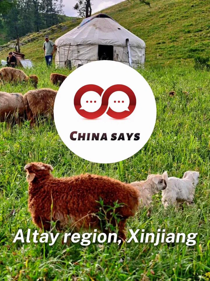 In Xinjiang’s Altay region, summer migration brings life to the boundless grasslands. Sheep graze like drifting clouds, camels move with quiet grace, and the green hills unfold like a velvet tapestry under the morning sun—serene, vast, and timeless. https://t.co/izb5HNwQbW