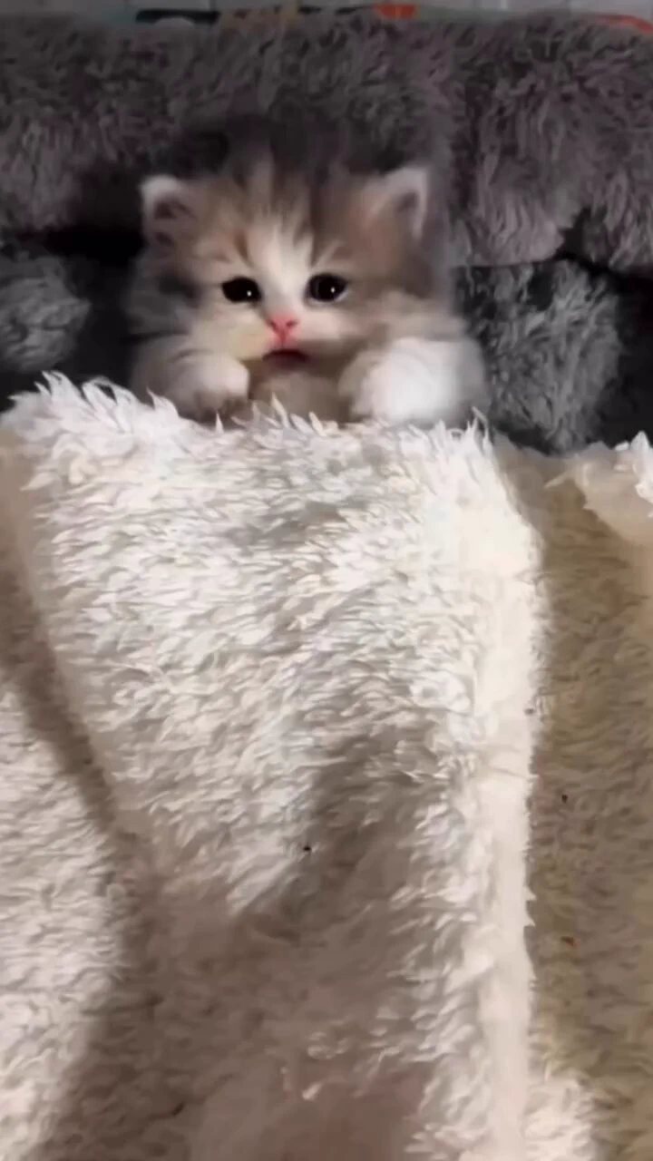 可愛い😂😂 https://t.co/QBTmisY62m