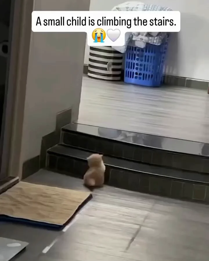 smol baby 😽💜 https://t.co/G4cd9uoVZU