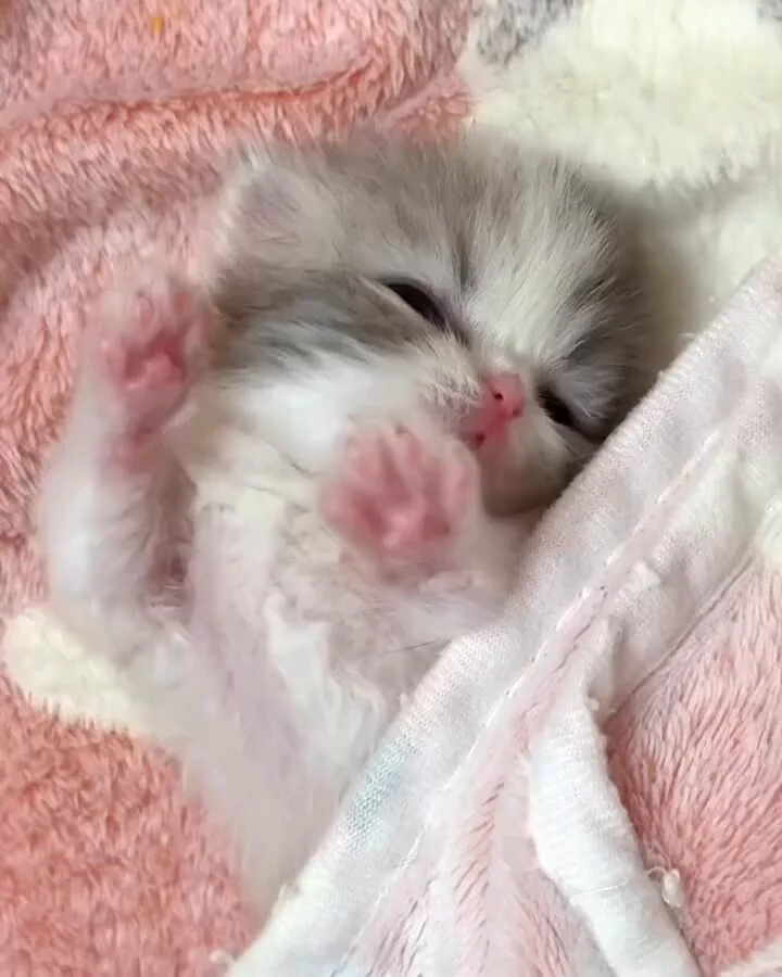 可愛い😂😂 https://t.co/EBWlPf2Yjl