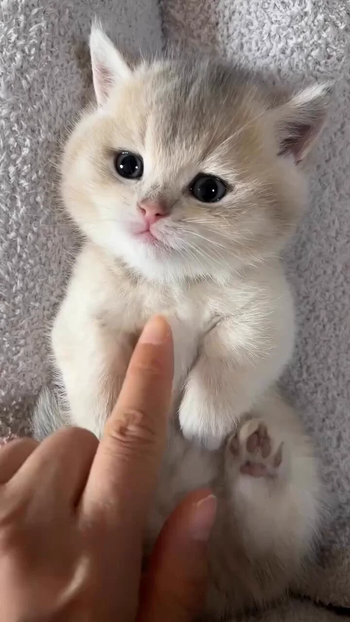 可愛い😂😂 https://t.co/KD8Ly6X1ae