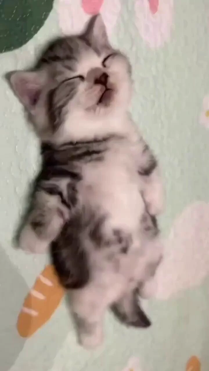 adorable baby 😽💞 https://t.co/SRIoG7JERd