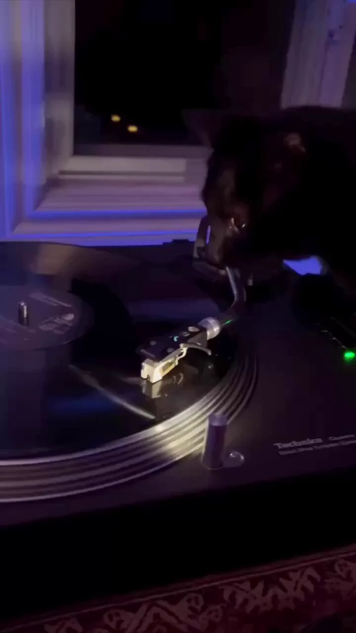 https://t.co/w0az0yDsYP