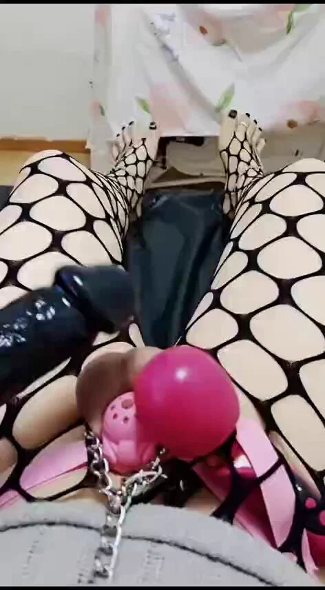 为了回馈广大粉丝对我的支持！今天进我福利群🌹的将不收取任何费用，24h免费对我的粉丝们限时无门槛🏧进入，可观看所有视频和写真！
私聊推特一律不回要看完整版电报纸飞机私聊
唯一通道： https://t.co/BxSsYNwe5n
暗号：666        （注意素质） https://t.co/BvaJX8C290