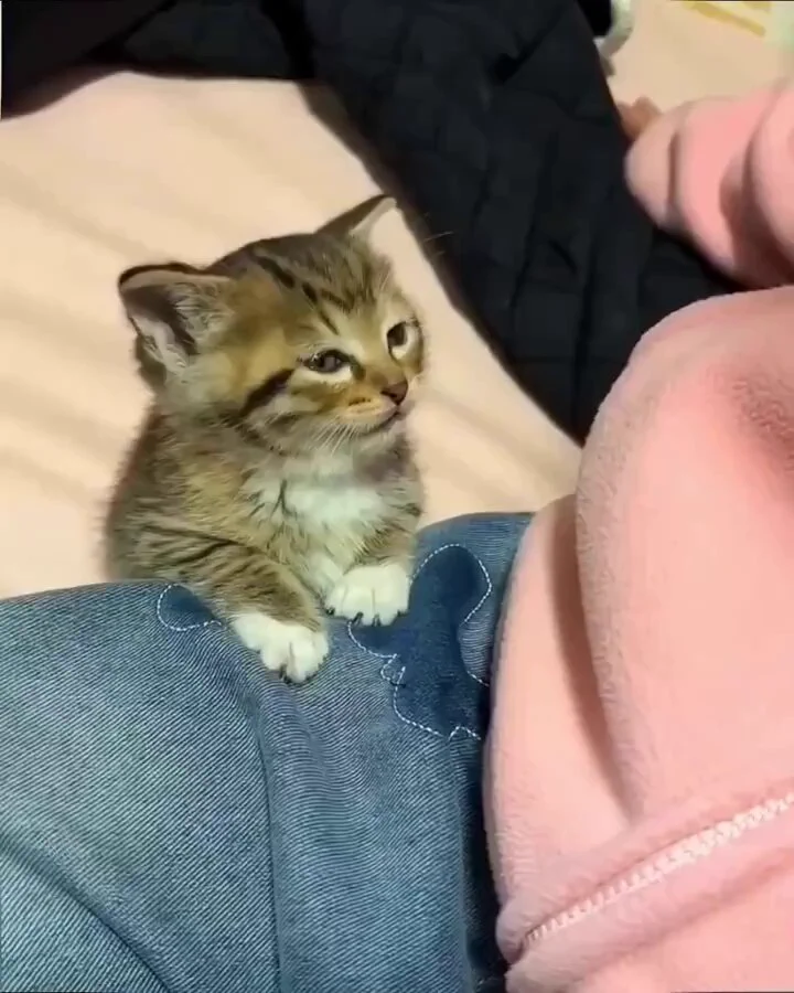 https://t.co/d0j0tyeKhG