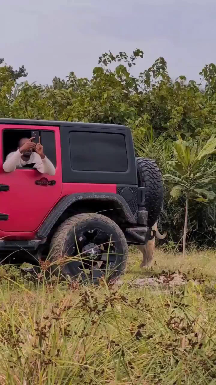 OMG 🤣 https://t.co/jtyN8AfEjk