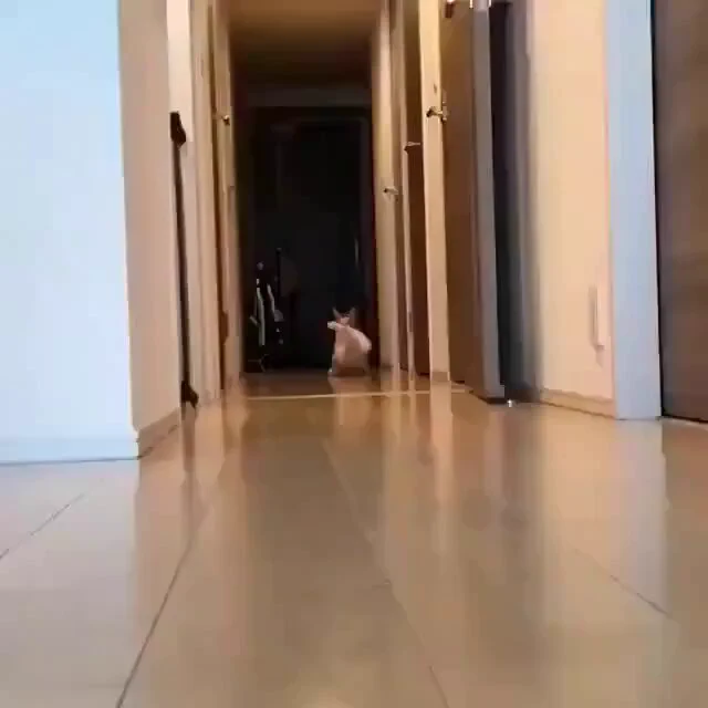 😂 https://t.co/eoP9gs0kPX