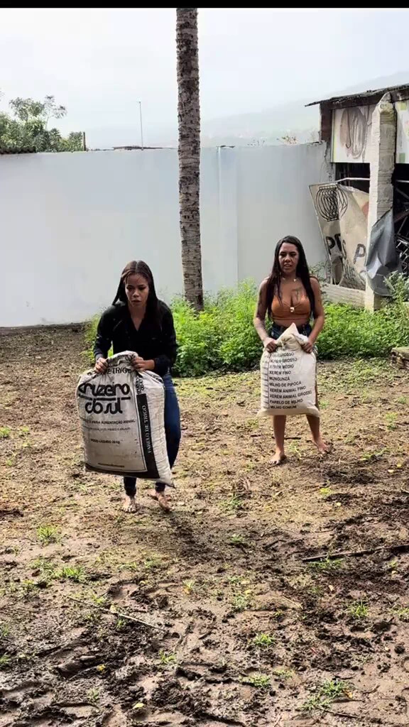 https://t.co/LhxfveyxNx