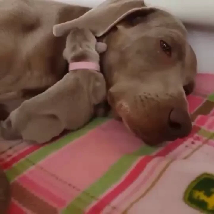 The safest spot.. 😊 https://t.co/fjrLYsHzMB