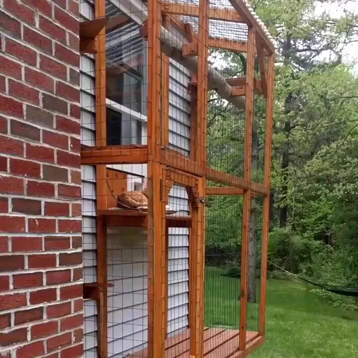 We built a catio so our indoor cats could enjoy fresh air and nature. The dogs are jealous... https://t.co/ouHWCRJBXG