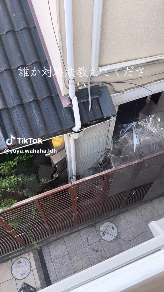 毎日除草剤まいてくる隣人 https://t.co/eqRbzphSpM