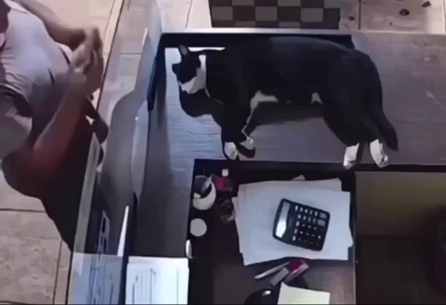 When you're lazy but you get the job done. https://t.co/CmjT2KvusY