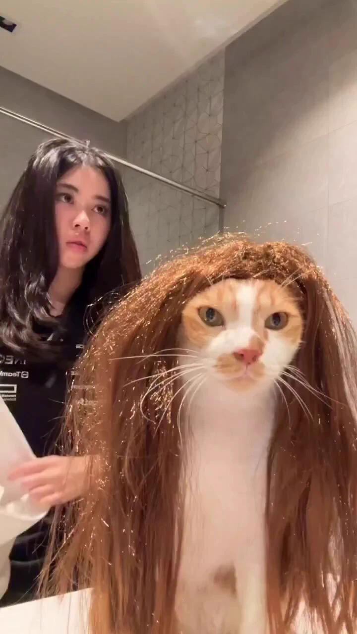 Haircut V2🤣🧡🥱 https://t.co/ZB0XkOdDtB