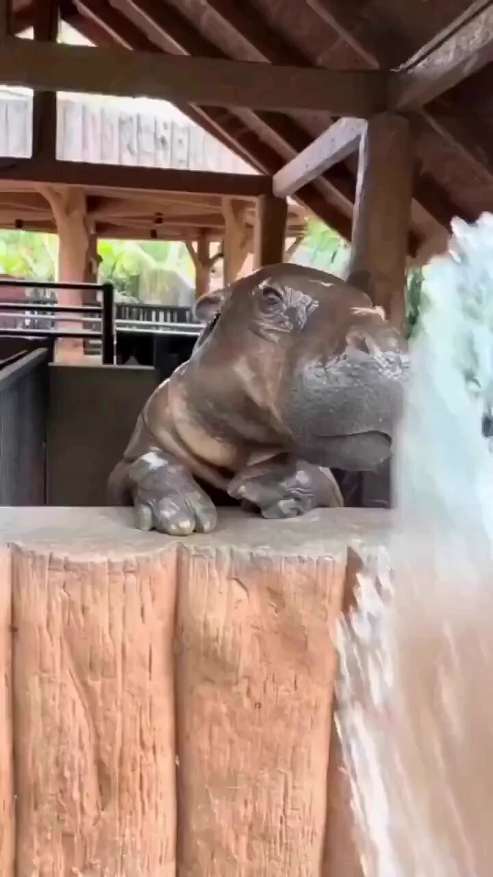 Bath time https://t.co/mW5HzMfedc