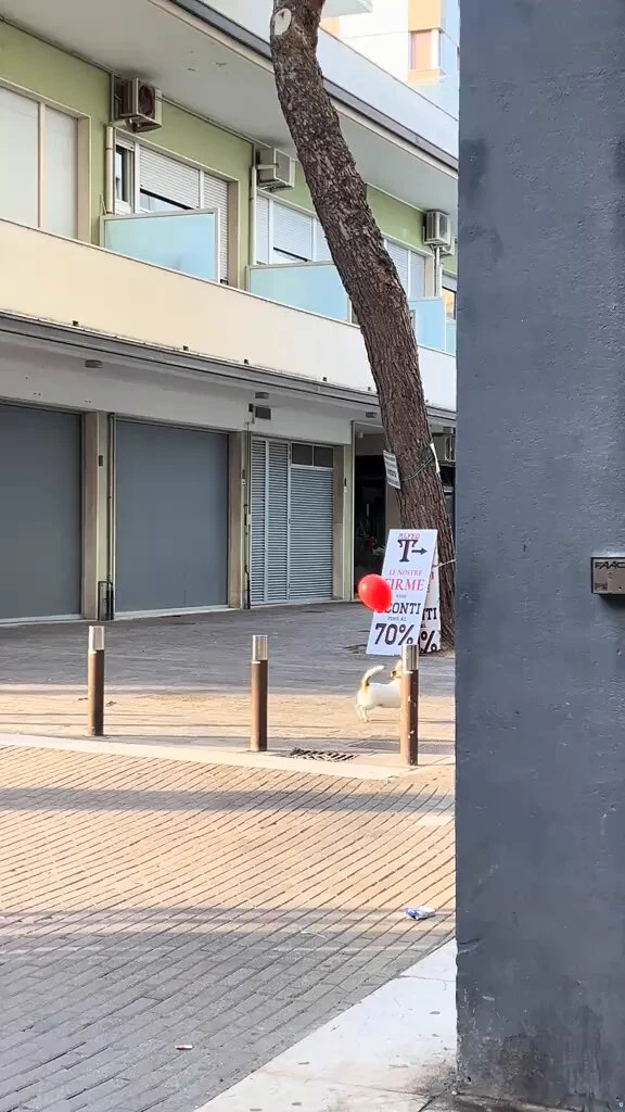 The way he left with his balloon 🥰
https://t.co/smXgdK9eSy