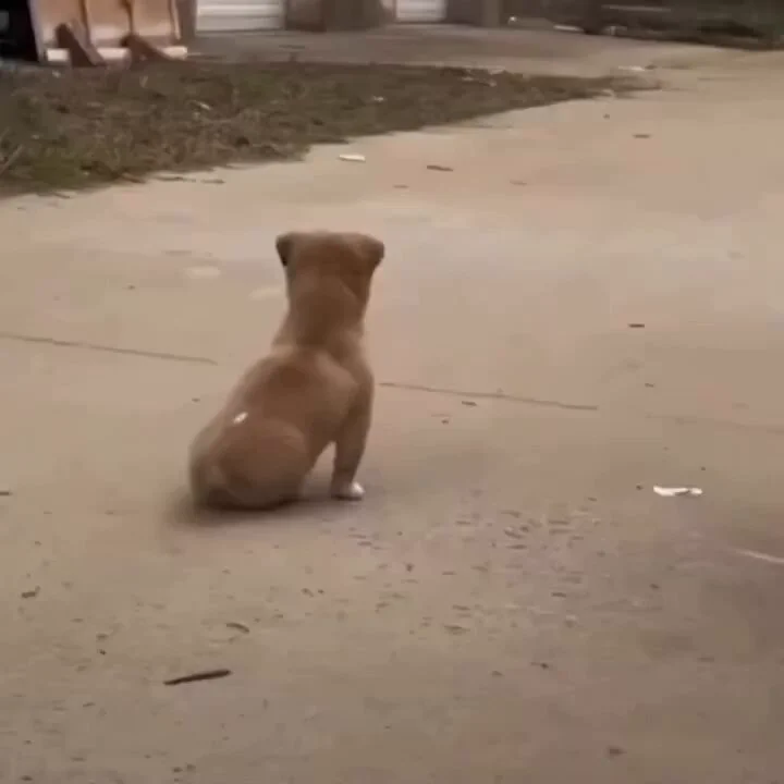 Unconditional love.. 😊 https://t.co/lStPvvFPBJ
