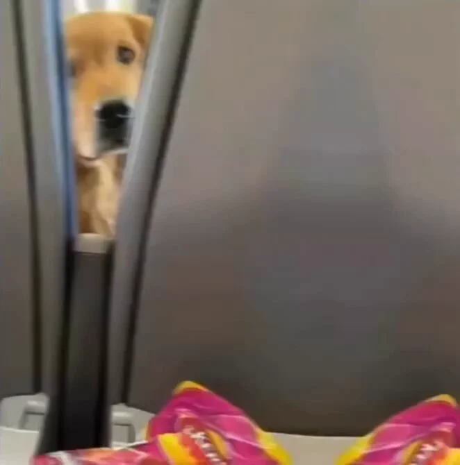 Some seats are worth everything.. 😂 https://t.co/E1UfR7Vcy8