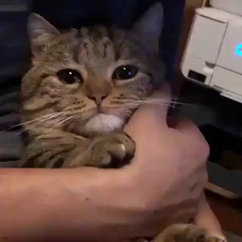 Who broken his heart https://t.co/SbWk2AtHsE