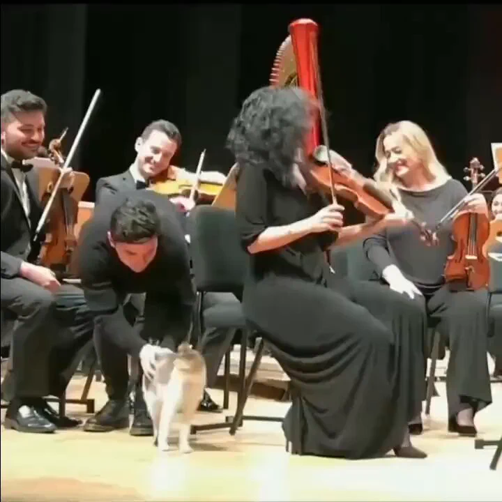 https://t.co/jcAJuAlwDI