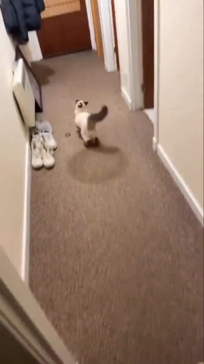 he happppy https://t.co/Sj7CRWDGEd