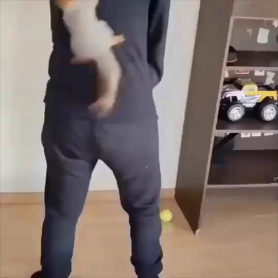 Catch me if you can.. 😅 https://t.co/zTNrwCSGBl