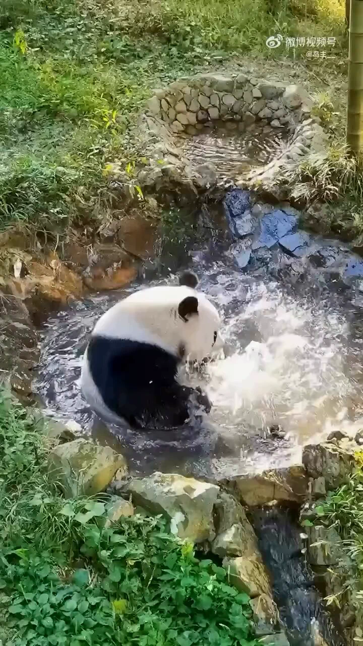 Splish splash.. 😊 https://t.co/f7zwc8fVds
